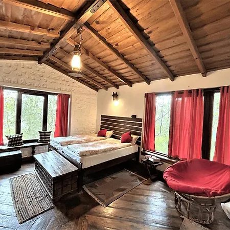 Jungle Lore Birding Lodge-3